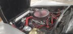 Thumbnail Photo 1 for 1981 Chevrolet Corvette