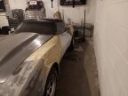 Thumbnail Photo 1 for 1981 Chevrolet Corvette