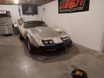 Photo 1 for 1981 Chevrolet Corvette