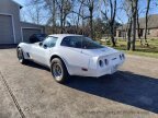 Thumbnail Photo 4 for 1981 Chevrolet Corvette