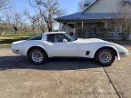 Thumbnail Photo 3 for 1981 Chevrolet Corvette