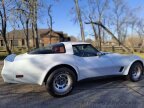Thumbnail Photo 5 for 1981 Chevrolet Corvette