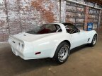 Thumbnail Photo 2 for 1981 Chevrolet Corvette Coupe