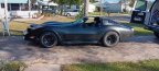 Thumbnail Photo 1 for 1981 Chevrolet Corvette