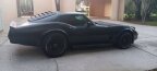 Thumbnail Photo 3 for 1981 Chevrolet Corvette