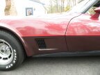 Thumbnail Photo 4 for 1981 Chevrolet Corvette Coupe for Sale by Owner