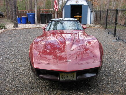 Photo 1 for 1981 Chevrolet Corvette Coupe for Sale by Owner