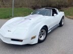 Thumbnail Photo 1 for 1981 Chevrolet Corvette