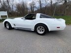 Thumbnail Photo 3 for 1981 Chevrolet Corvette