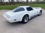 Thumbnail Photo 4 for 1981 Chevrolet Corvette
