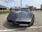 Thumbnail Photo 3 for 1981 Chevrolet Corvette