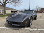 Thumbnail Photo 2 for 1981 Chevrolet Corvette