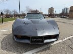 Thumbnail Photo 4 for 1981 Chevrolet Corvette