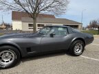 Thumbnail Photo 6 for 1981 Chevrolet Corvette