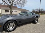 Thumbnail Photo 5 for 1981 Chevrolet Corvette