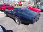 Thumbnail Photo 5 for 1981 Chevrolet Corvette