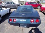 Thumbnail Photo 4 for 1981 Chevrolet Corvette