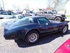 Thumbnail Photo 3 for 1981 Chevrolet Corvette