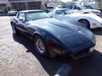 Thumbnail Photo 2 for 1981 Chevrolet Corvette