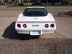 Thumbnail Photo 5 for 1981 Chevrolet Corvette