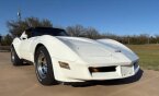 Thumbnail Photo 1 for 1981 Chevrolet Corvette