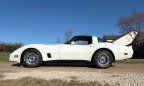 Thumbnail Photo 6 for 1981 Chevrolet Corvette