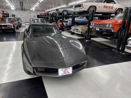 Photo 1 for 1981 Chevrolet Corvette