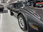 Thumbnail Photo 1 for 1981 Chevrolet Corvette