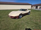 Thumbnail Photo 1 for 1981 Chevrolet Corvette