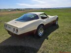 Thumbnail Photo 4 for 1981 Chevrolet Corvette