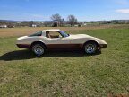 Thumbnail Photo 5 for 1981 Chevrolet Corvette