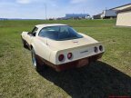 Thumbnail Photo 3 for 1981 Chevrolet Corvette