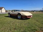Thumbnail Photo 6 for 1981 Chevrolet Corvette