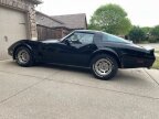 Thumbnail Photo 1 for 1981 Chevrolet Corvette for Sale by Owner