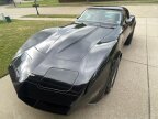 Thumbnail Photo 5 for 1981 Chevrolet Corvette for Sale by Owner