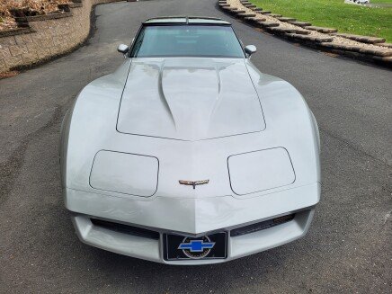 Photo 1 for 1981 Chevrolet Corvette Coupe for Sale by Owner