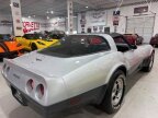 Thumbnail Photo 5 for 1981 Chevrolet Corvette