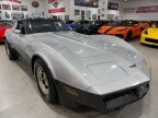 Thumbnail Photo 3 for 1981 Chevrolet Corvette