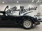 Thumbnail Photo 5 for 1981 Chevrolet Corvette
