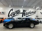 Thumbnail Photo 2 for 1981 Chevrolet Corvette