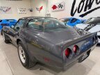 Thumbnail Photo 2 for 1981 Chevrolet Corvette