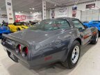 Thumbnail Photo 5 for 1981 Chevrolet Corvette
