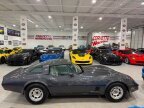 Thumbnail Photo 4 for 1981 Chevrolet Corvette
