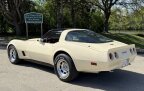 Thumbnail Photo 4 for 1981 Chevrolet Corvette Coupe