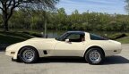 Thumbnail Photo 3 for 1981 Chevrolet Corvette Coupe
