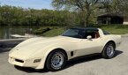 Thumbnail Photo 2 for 1981 Chevrolet Corvette Coupe