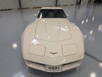 Thumbnail Photo 3 for 1981 Chevrolet Corvette