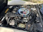 Thumbnail Photo 4 for 1981 Chevrolet Corvette