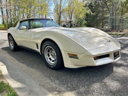 Photo 1 for 1981 Chevrolet Corvette