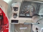 Thumbnail Photo 3 for 1981 Chevrolet Corvette Coupe for Sale by Owner